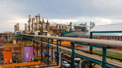 CerradinhoBio tem EBIT recorde de R$ 782,3 milhões na safra 2025/26