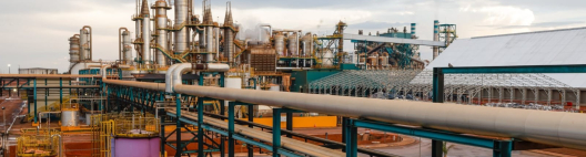 CerradinhoBio tem EBIT recorde de R$ 782,3 milhões na safra 2025/26