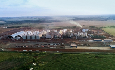 Inpasa realizará o primeiro embarque de DDG para a China