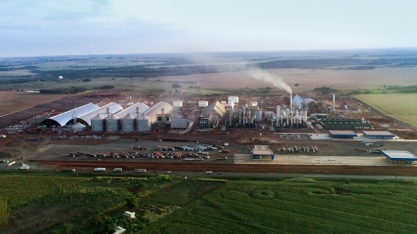 Inpasa realizará o primeiro embarque de DDG para a China