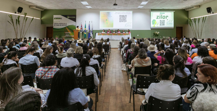 Pré-programação do 14º Cana Substantivo Feminino