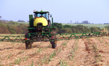 Tratos da cana na entressafra garantem melhores resultados e mais eficiência na safra que se inicia 