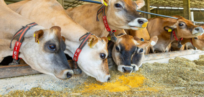 Inpasa lança FortiPro e mira padrão global em nutrição