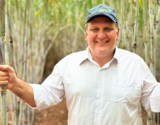 Para os próximos trimestres, o cenário se mostra promissor para a BrasilAgro — Foto: Divulgação 
