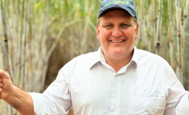 BrasilAgro voltou ao lucro no segundo trimestre