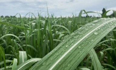 Ciclone extratropical atinge o Brasil nesta semana