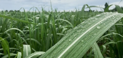 Ciclone extratropical atinge o Brasil nesta semana
