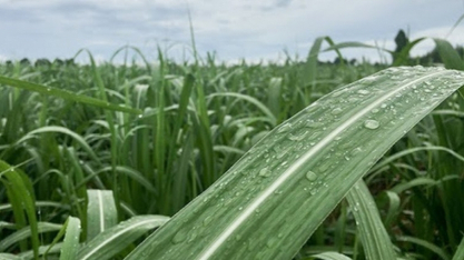 Ciclone extratropical atinge o Brasil nesta semana