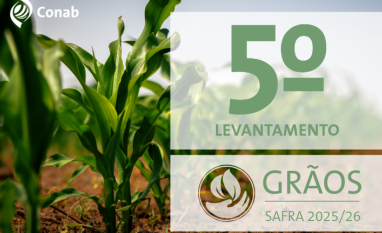 Produção de grãos é estimada em 353,4 milhões de toneladas em 2025/26 com início da colheita das culturas de primeira safra