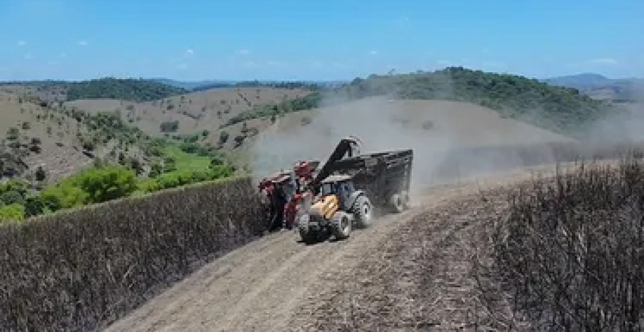  Máquina importada consegue colher cana em área de declive de até 30 graus. - Foto: Edivaldo Junior