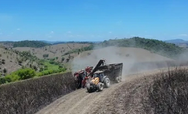 Usina em AL importa máquinas da Índia para enfrentar falta de mão de obra