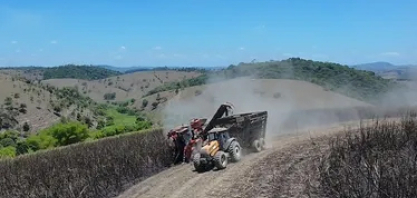 Usina em AL importa máquinas da Índia para enfrentar falta de mão de obra