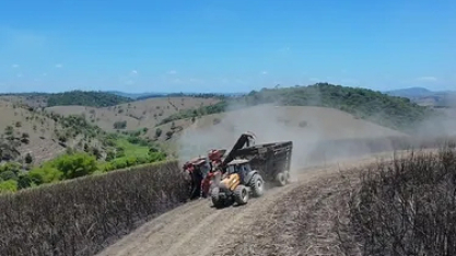 Usina em AL importa máquinas da Índia para enfrentar falta de mão de obra