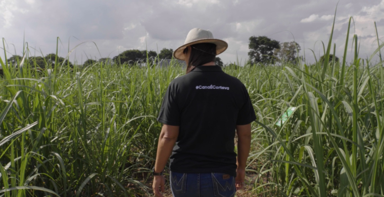 A Corteva é patrocinadora Máster do 14º Cana Substantivo Feminino