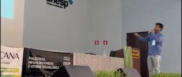 Estudos do CEPENFITO revelam influência climática e avanços no manejo integrado do Sphenophorus