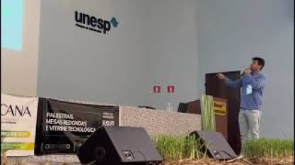 Estudos do CEPENFITO revelam influência climática e avanços no manejo integrado do Sphenophorus