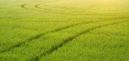 RenovaBio tem cumprimento de 88% das metas individuais dos distribuidores em 2025