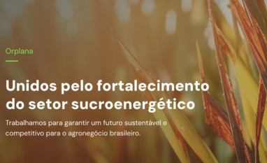 A ORPLANA é patrocinadora do 14º Cana Substantivo Feminino