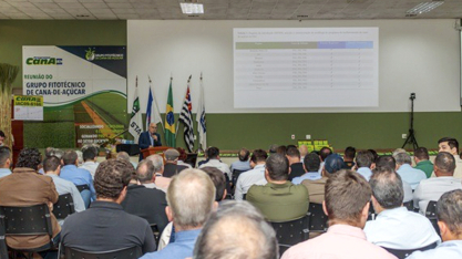 Grupo Fitotécnico IAC abre ciclo 2026 com debate sobre manejo da cana