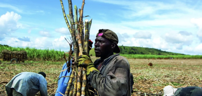 Nigéria deve ampliar importação de açúcar na temporada 2026/27