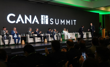 Transformações na produção e no mercado ampliam perspectivas para a cana no Brasil