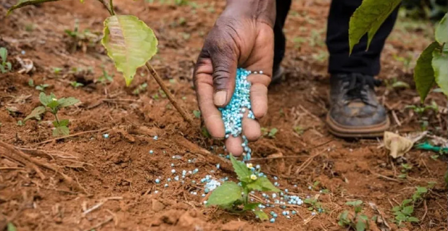 Conflitos geopolíticos levam a China anunciar restrição nas exportações de produtos. Reprodução/Agro+