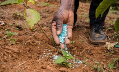 China restringe exportações de fertilizantes e ureia sobe 35% em 15 dias