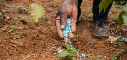 China restringe exportações de fertilizantes e ureia sobe 35% em 15 dias