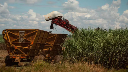 Consultorias aumentam estimativa de moagem de cana em 2026/27 no Centro-Sul