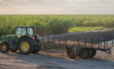 Consumo de açúcar cresce e reduz estoques nos EUA