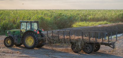 Consumo de açúcar cresce e reduz estoques nos EUA