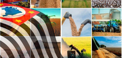 Safra 2025/26 em São Paulo deve crescer com impulso de milho, soja e café