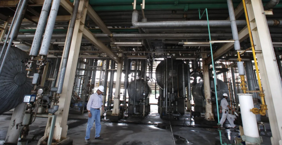 Ampliação do mandato de biocombustíveis nos EUA deve elevar consumo de óleo de soja, estimular esmagamento e influenciar preços internacionais do grão. REUTERS/Enrique Marcarian