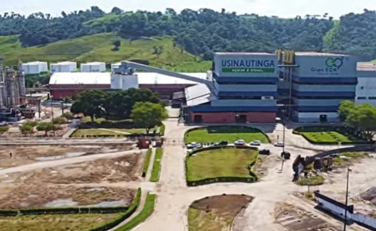 As duas maiores RPPNs de Alagoas estão na Us Utinga e abrigam espécies de aves e animais em extinção