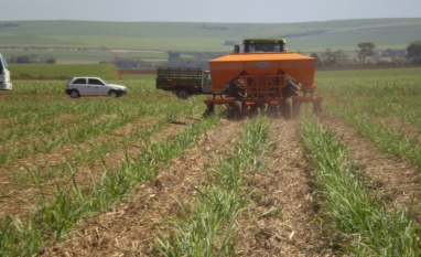 Dependência de ureia expõe agronegócio brasileiro a tensão entre EUA e Irã