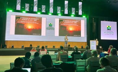 Capacitação contínua reduz custos e melhora eficiência na cana