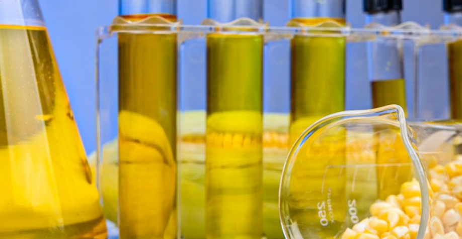 Etanol feito a partir do milho – Foto: Freepik