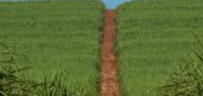 APqC: extinção de cargos públicos em SP atinge áreas de agricultura, meio ambiente e saúde