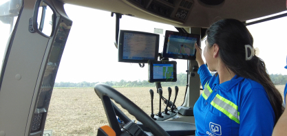 Pagrisa registra novo recorde de produção na safra 2025