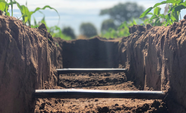Três maneiras de economizar água com a irrigação por gotejamento