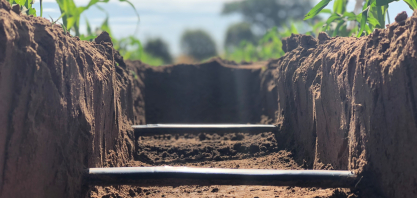 Três maneiras de economizar água com a irrigação por gotejamento