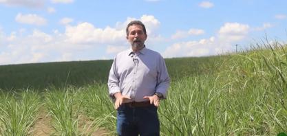 Altitude e microclima mantem produtividade de produtor de cana em União dos Palmares