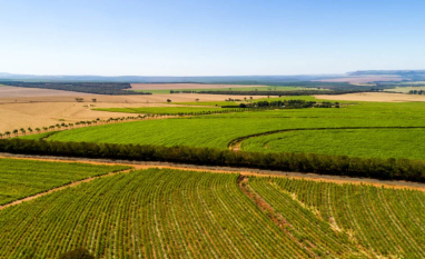 Minas Gerais: um dos protagonistas na produção nacional de etanol
