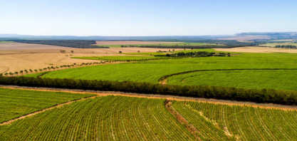Minas Gerais: um dos protagonistas na produção nacional de etanol