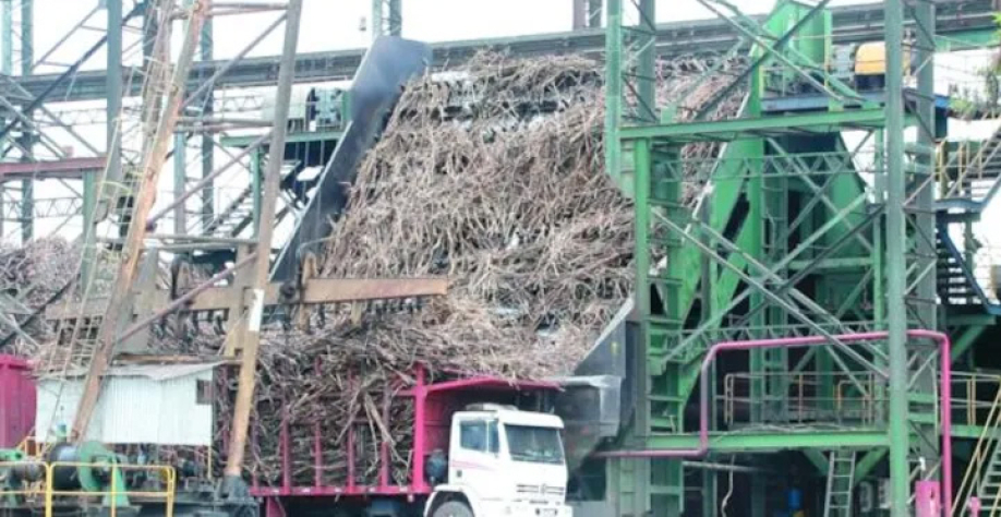 Sem uso de água, técnica retira impurezas vegetais e minerais da cana que chega do campo à indústria | Foto: BCCOM ASSESSORIA