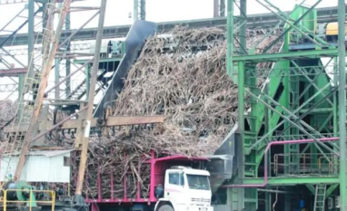 Sistema de limpeza a seco aumenta eficiência no processamento da cana