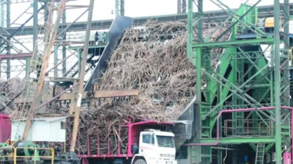 Sistema de limpeza a seco aumenta eficiência no processamento da cana
