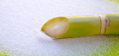 Açúcar inicia semana em queda nas bolsas internacionais e leve alta no mercado interno