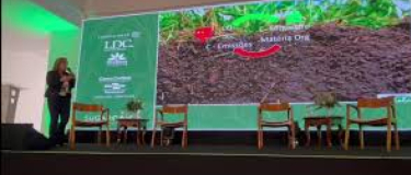 Solo saudável redefine produtividade na cana e impulsiona agricultura regenerativa