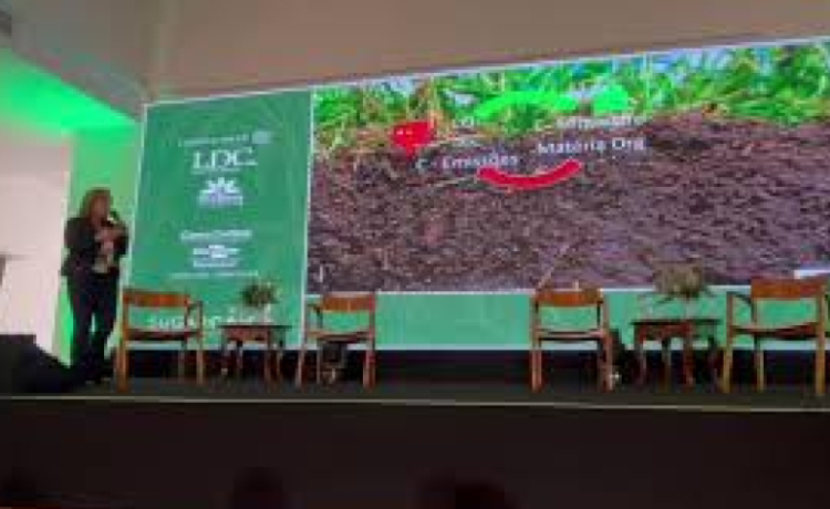 Solo saudável redefine produtividade na cana e impulsiona agricultura regenerativa